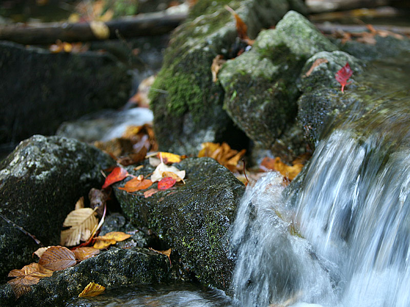 fall-va08.jpg