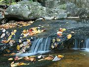 fall-va09