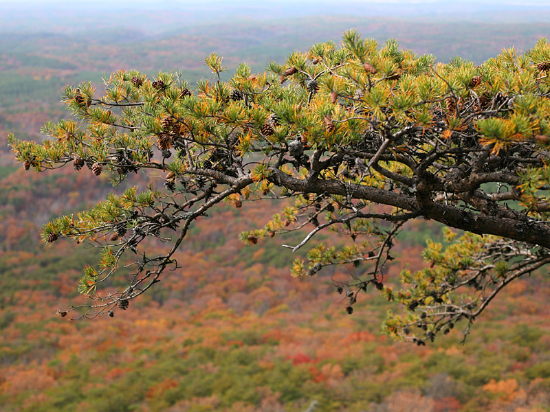 cheaha08.jpg
