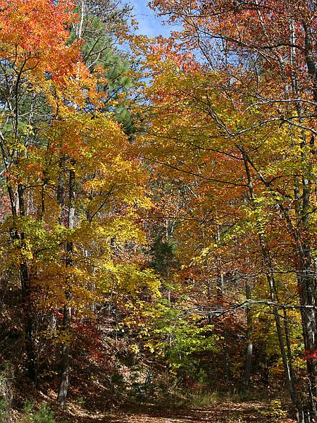 cheaha13.jpg