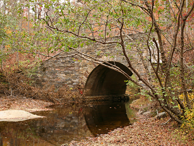 cheaha18.jpg