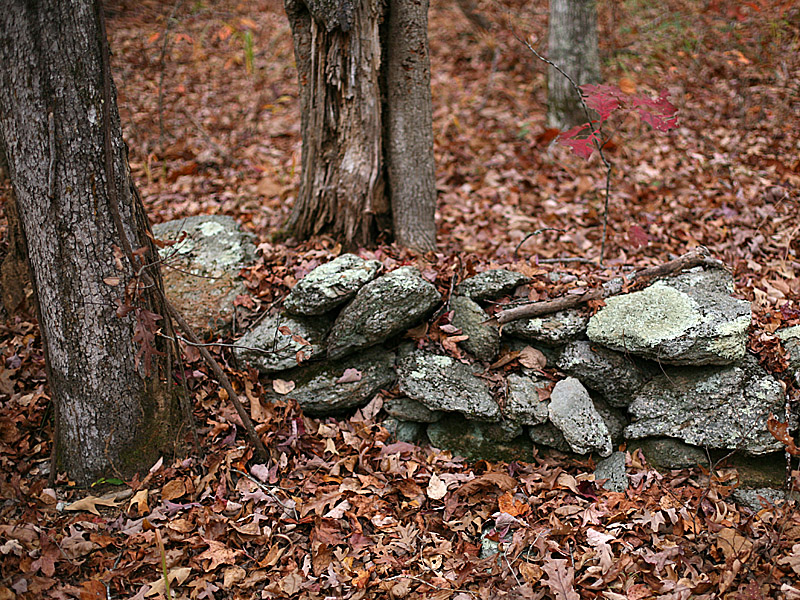 cheaha20.jpg