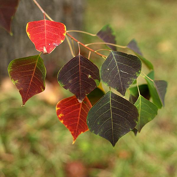 nov11-04.jpg