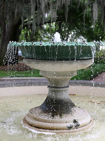 savannah04.jpg