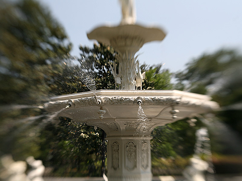 savannah12.jpg
