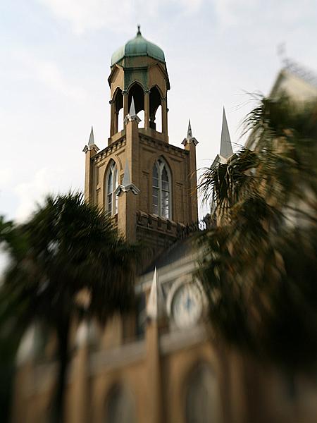 savannah19.jpg