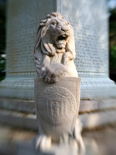 savannah20.jpg