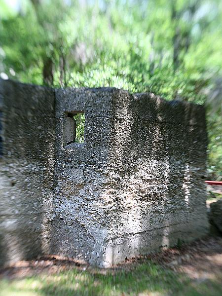 wormsloe4.jpg