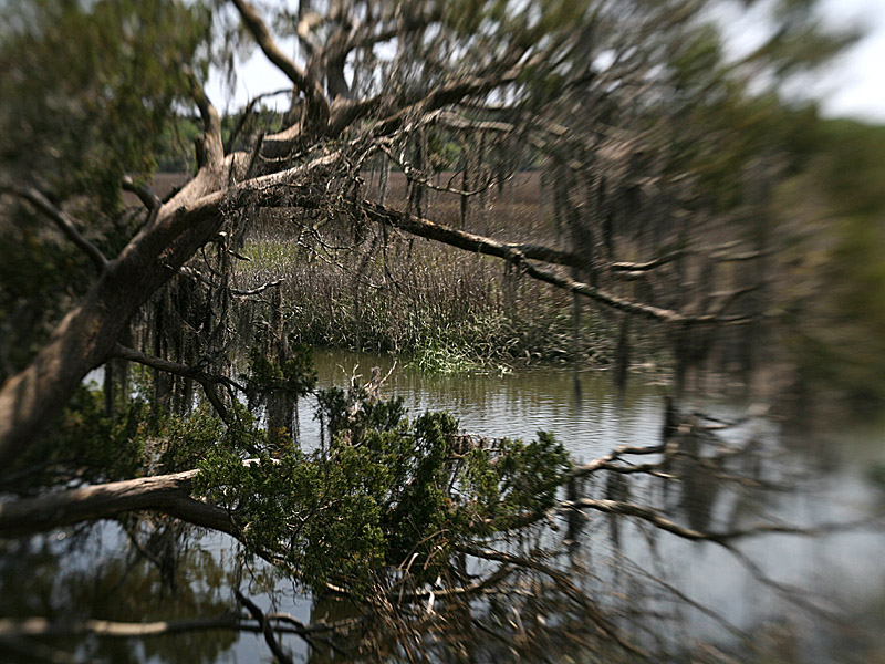 wormsloe5.jpg