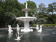 savannah11