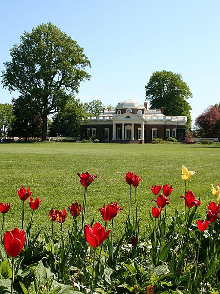 monticello03.jpg