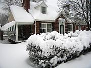 snow01