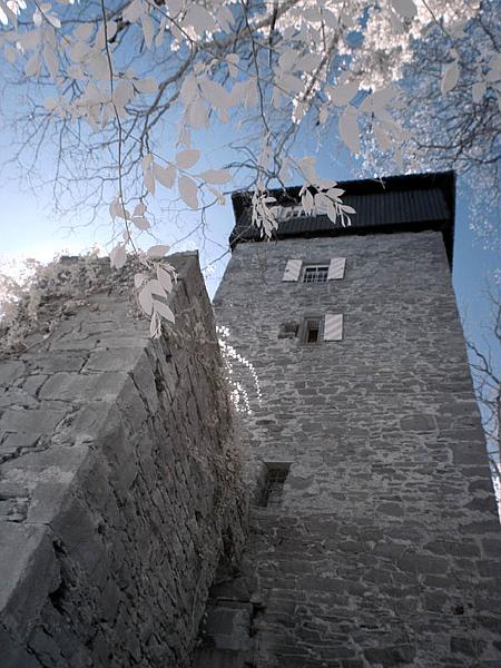 dauchstein1.jpg