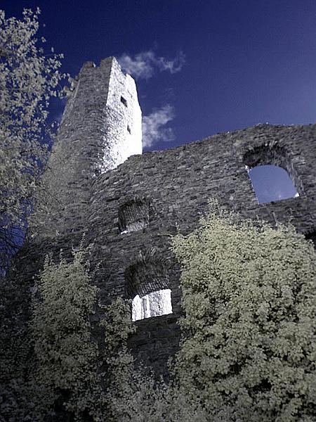 ehrenfels05.jpg