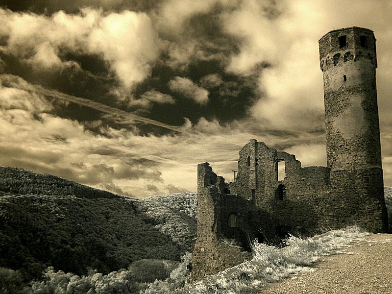 ehrenfels07.jpg