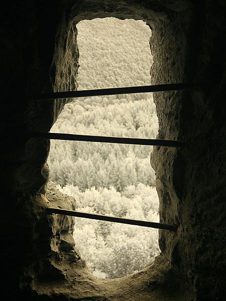 fleckenstein06.jpg