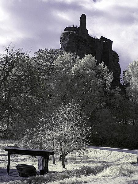 fleckenstein07.jpg