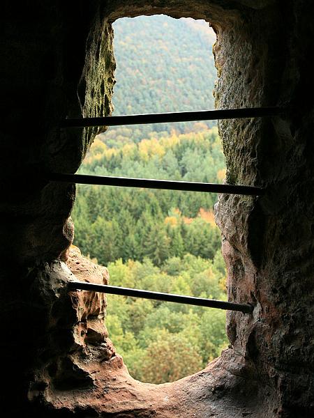 fleckenstein09.jpg