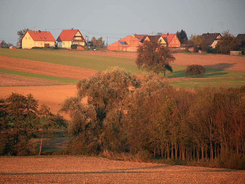 fleckenstein11.jpg