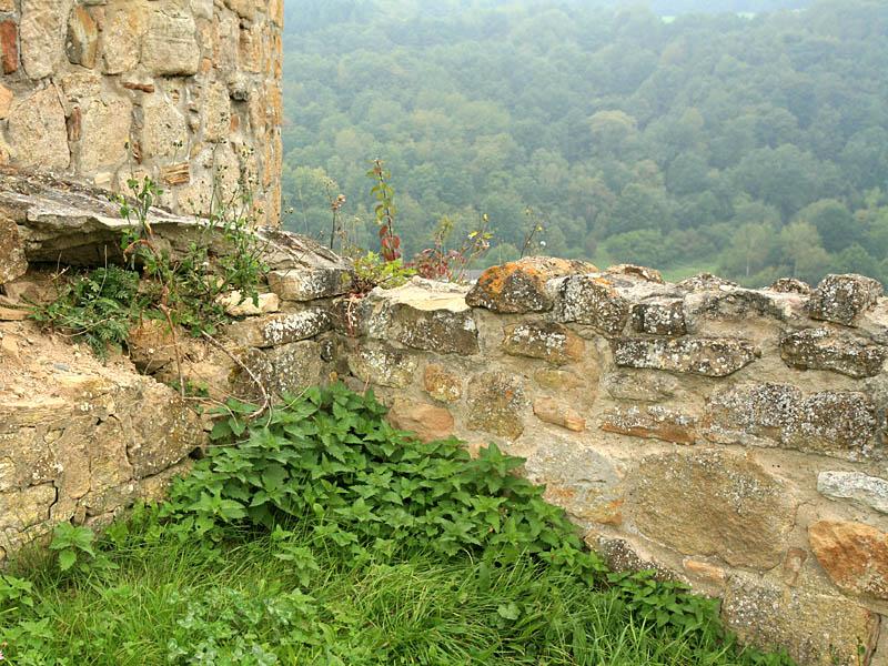 kyrburg01.jpg