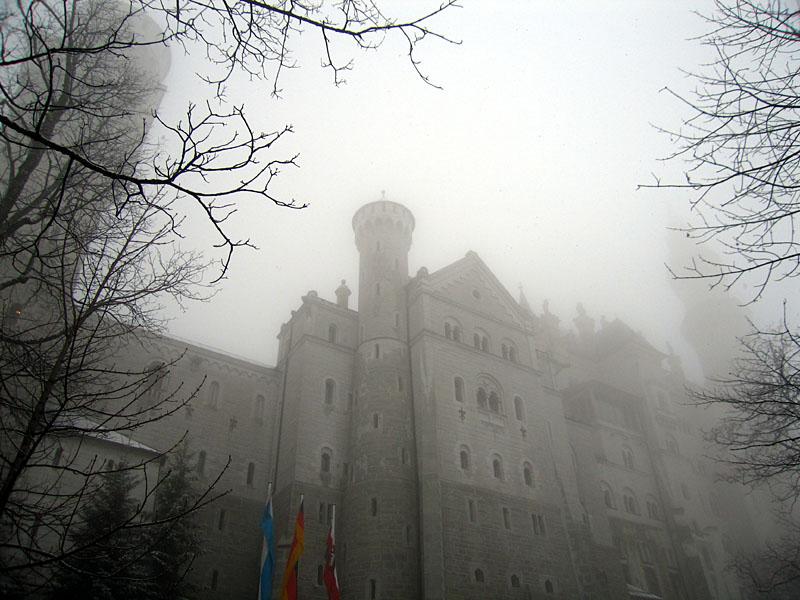 ludwig1.jpg