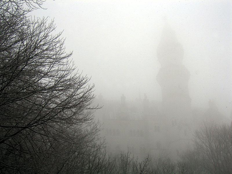 ludwig6.jpg