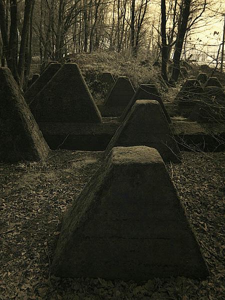 dragon3.jpg