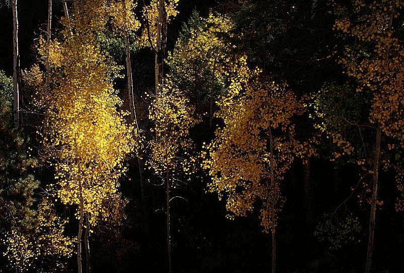fall03-01.jpg