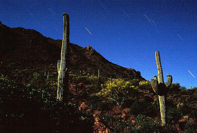 saguar_moon1.jpg