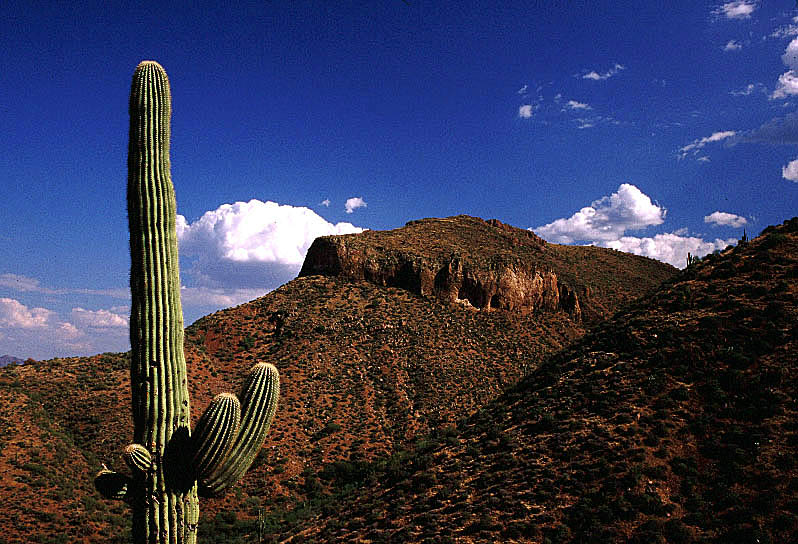 tonto5.jpg