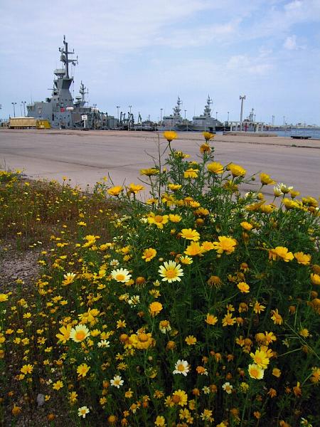 gulf01.jpg