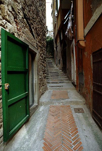 ct05.jpg