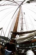 norden2