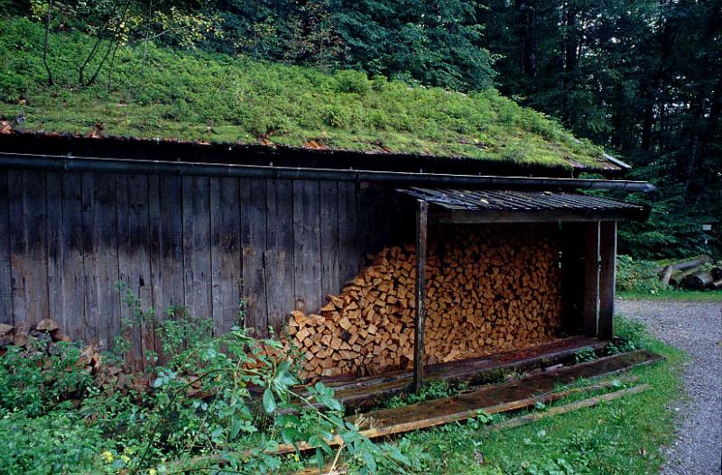 schwandau25.jpg