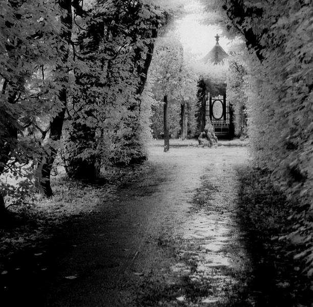 wurzburg-bw6.jpg