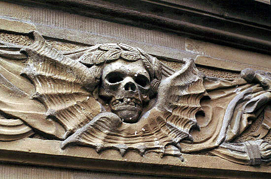 wurzskul.jpg