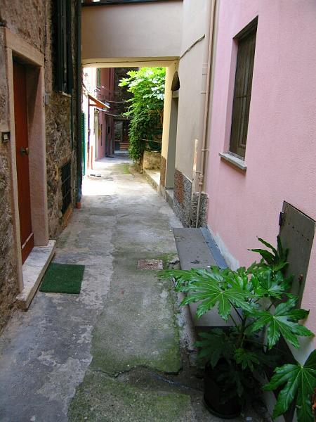 manarola14.jpg