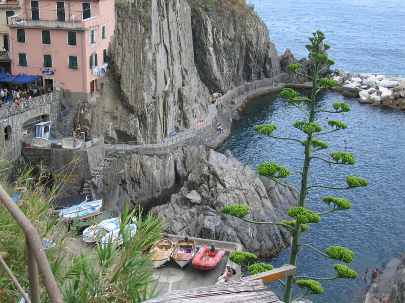 manarola18.jpg