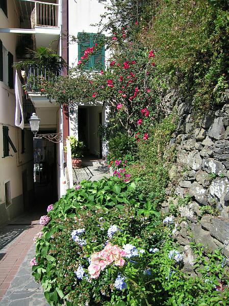 manarola35.jpg