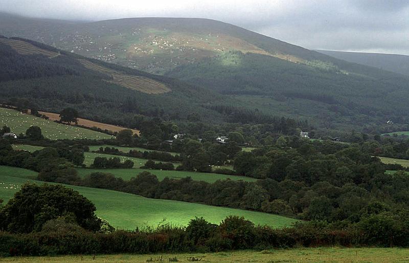 eire1.jpg