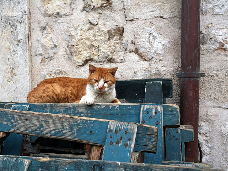 croatia016.jpg
