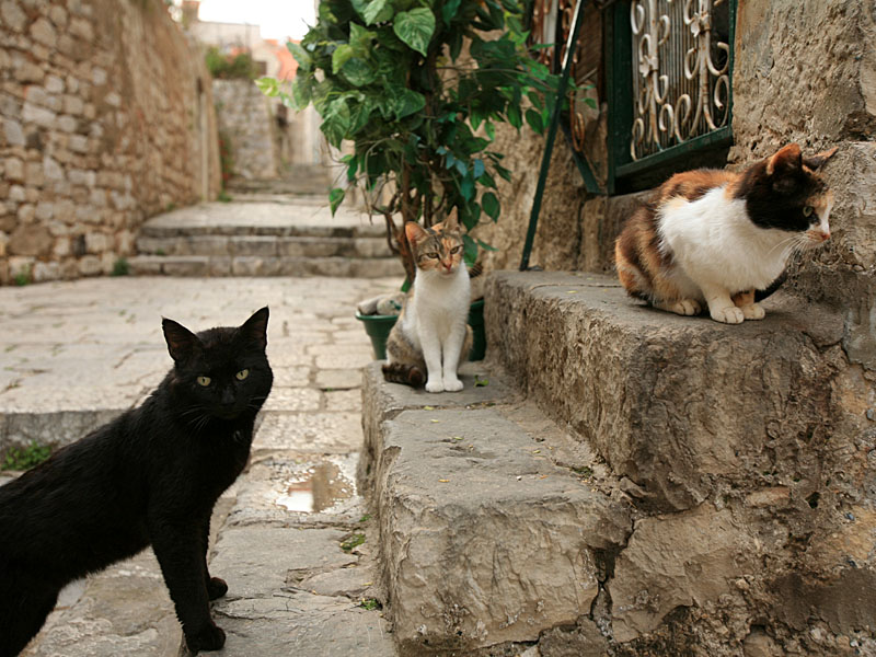 croatia020.jpg
