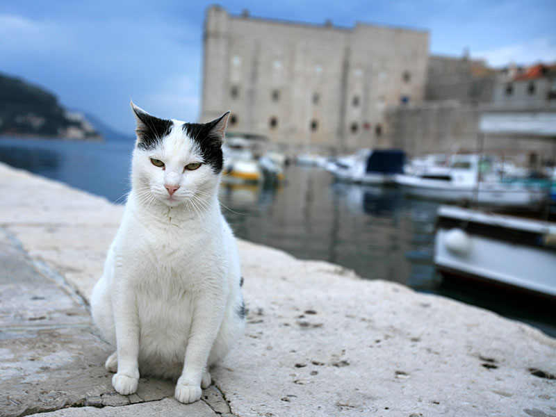 croatia027.jpg