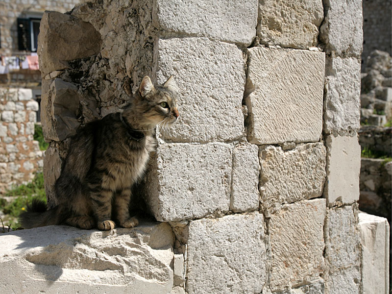 croatia079.jpg