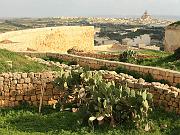 malta18