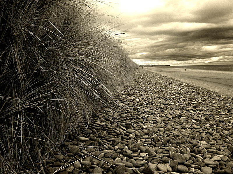 normandy01.jpg