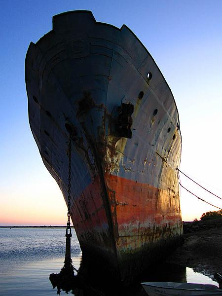 harbor1.jpg