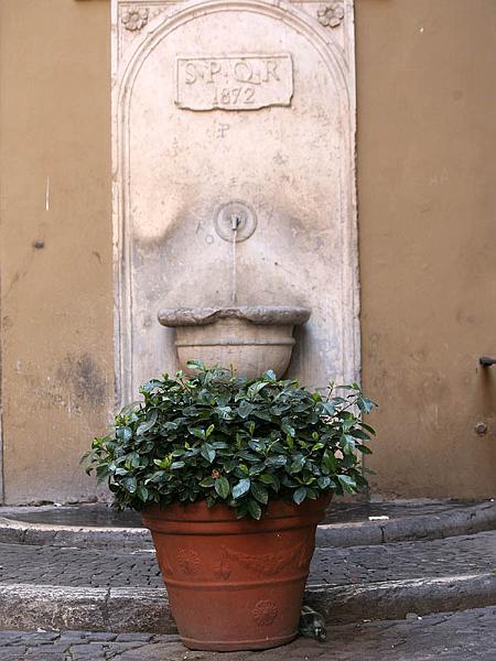 rome82.jpg