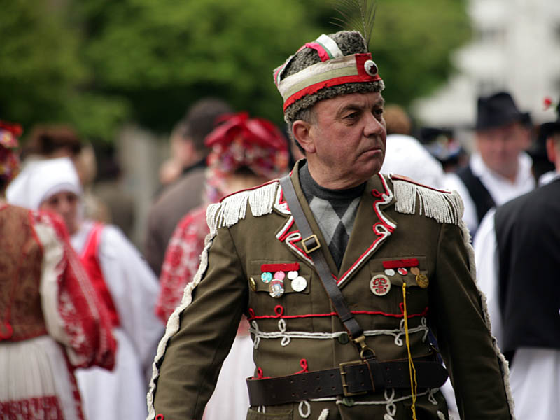 sofia13.jpg