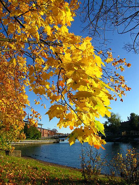 helsinki04.jpg
